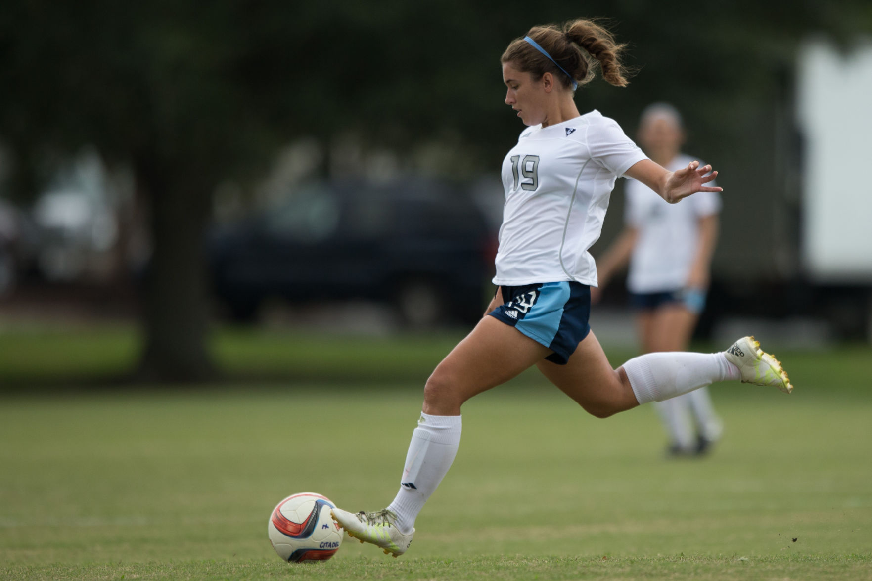 Caroline Cashion Citadel (copy)